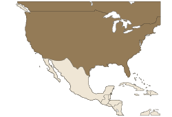 Image of North America