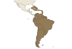 Image of South America and the West Indies
